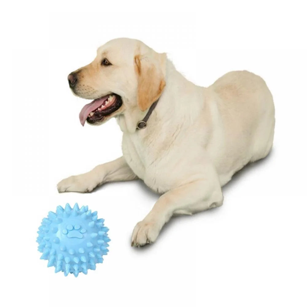 Balls for Dogs Small, Fetch Balls for Dogs Rubber Cute Colors TPR Puppy Toys Dog Toy Balls Dog Toys Spike Ball Dog Chew Toys for Small Dogs Pet Toys for Puppy Teething Toys,Blue