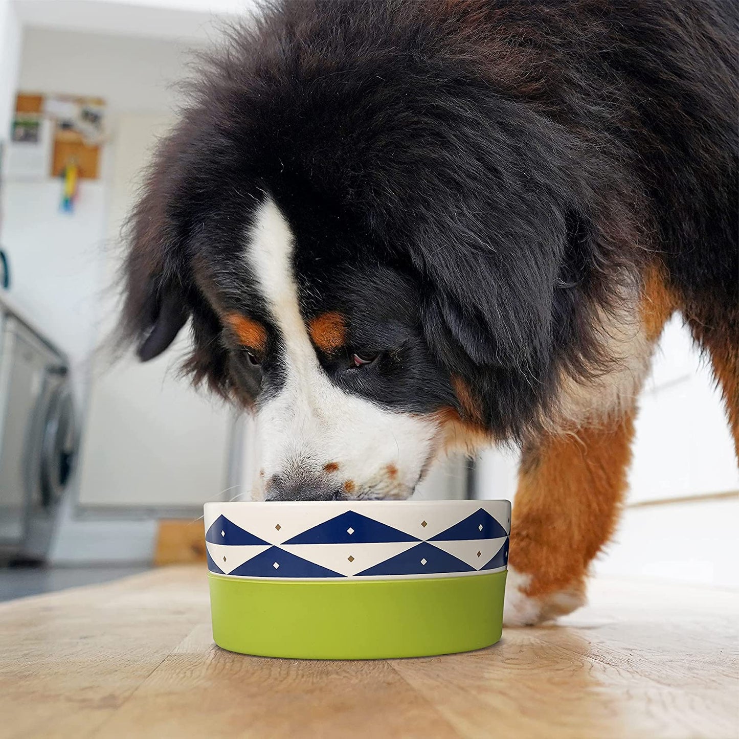 Now House for Pets by Duo Oslo Dog Bowl - Cute Ceramic Dog Food Bowl, Puppy Bowl, Puppy Food Bowl, Dog Food Bowl for Pets, Dog Bowl, Pet Bowl for Food and Water